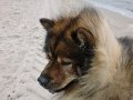 filou (15)